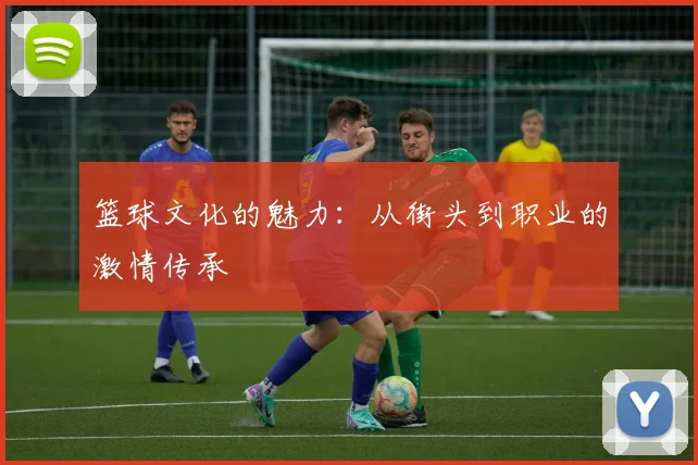 篮球文化的魅力：从街头到职业的激情传承